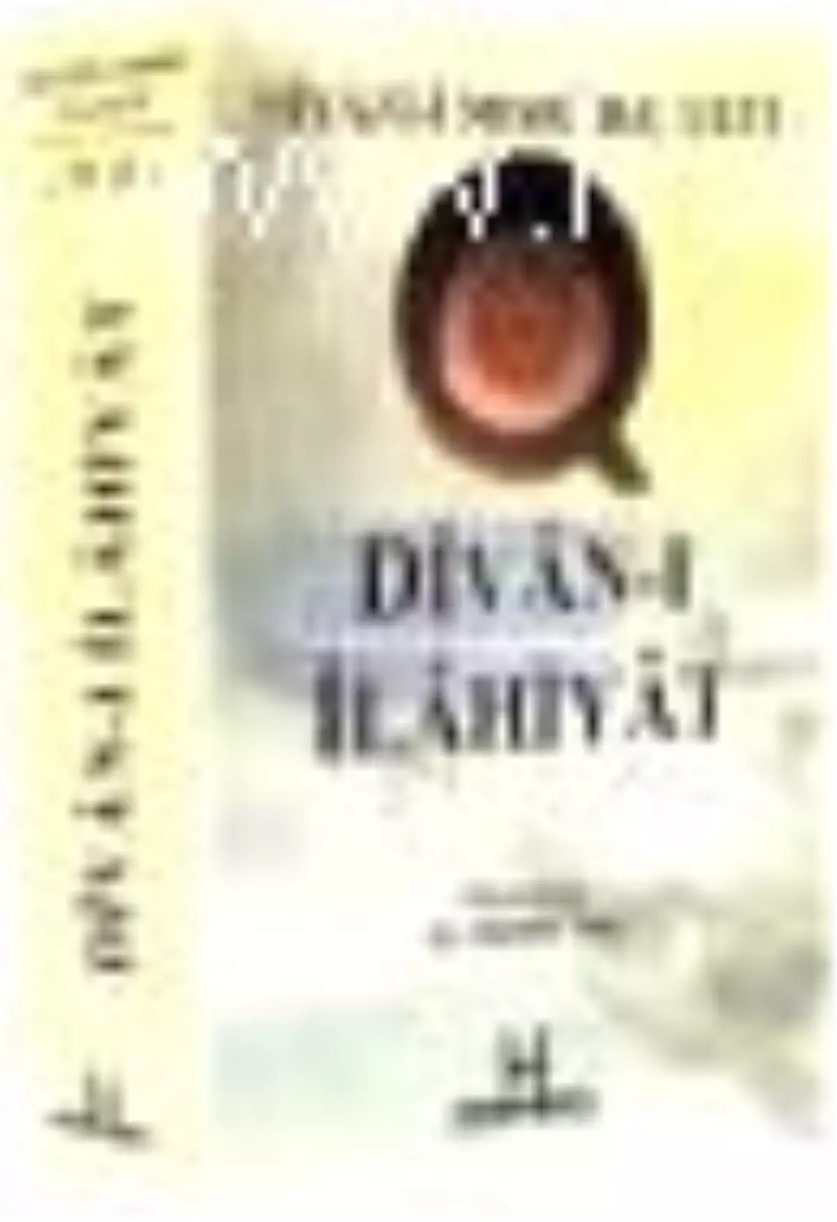 Divan-ı İlahiyat Kitabı