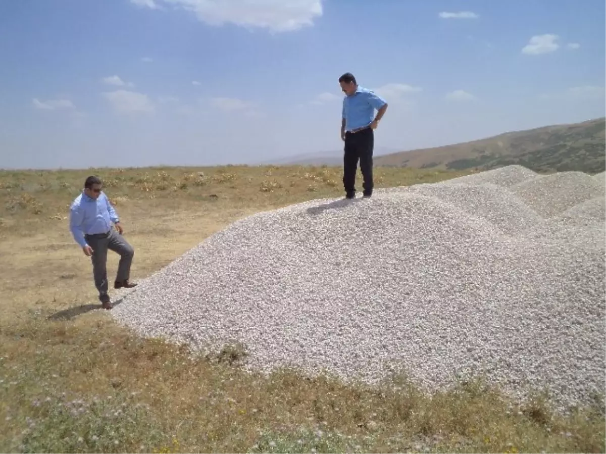 Kaymakam Şahin Yol Yapım Çalışmalarını Denetledi