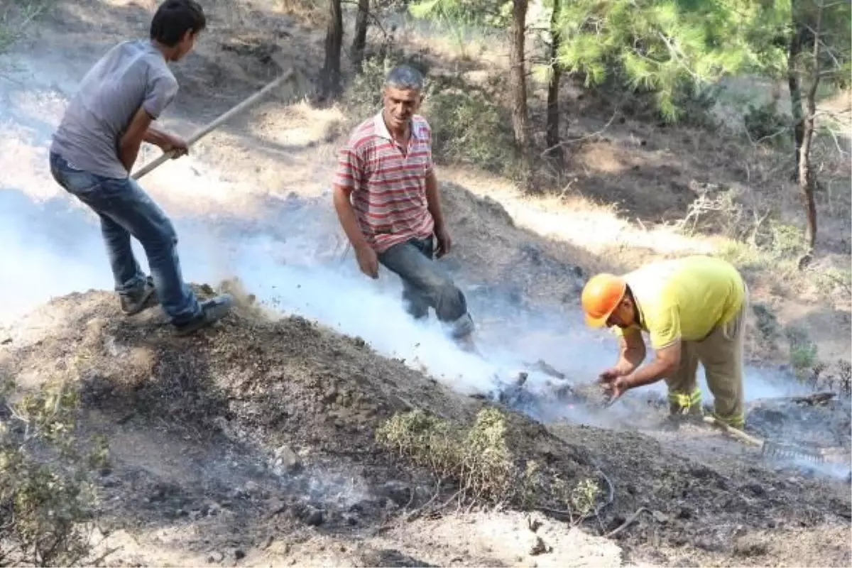 Manisa\'da Orman Yangını Söndürüldü