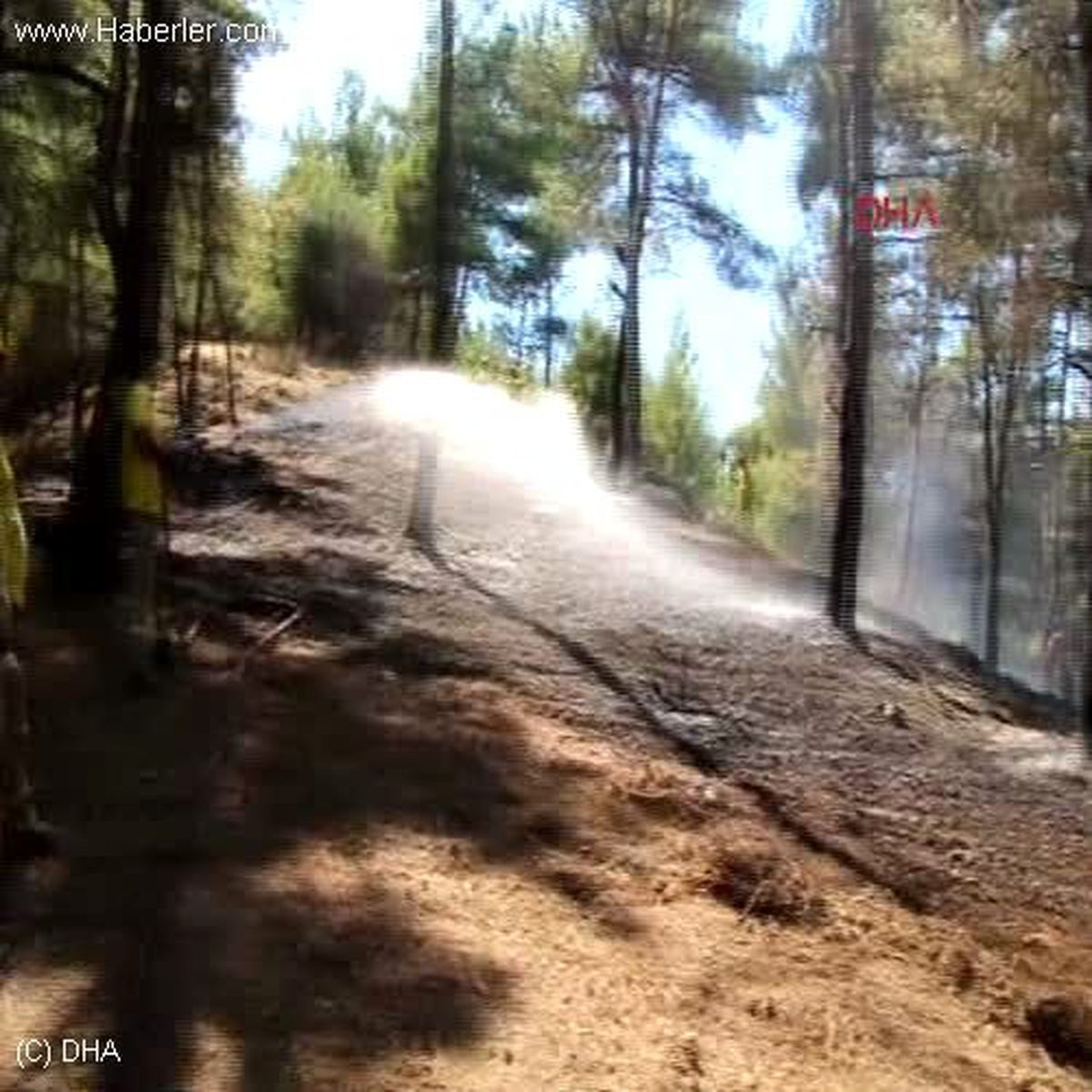 Manisa Orman Yangını Büyümeden Söndürüldü