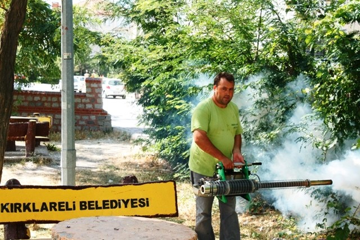 Sivrisinek İlaçlama Çalışmaları Devam Ediyor