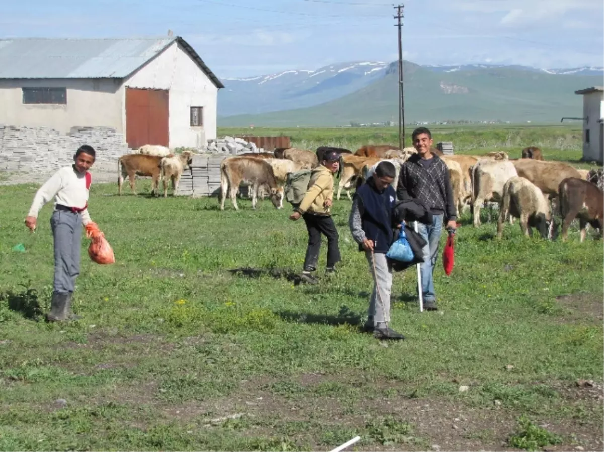 Tatilde Çobanlık Yapan Çocuklar, Okulların Açılmasını Bekliyor