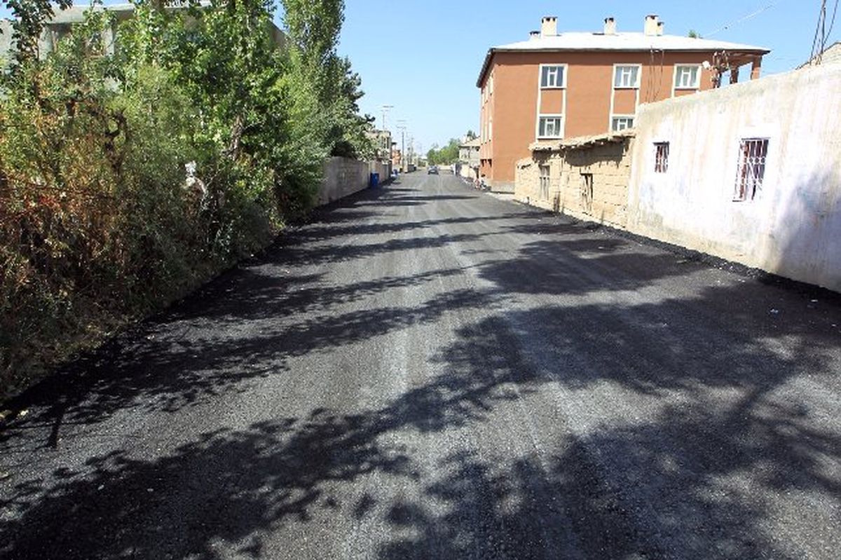 Van Belediyesinden Hummalı Çalışma