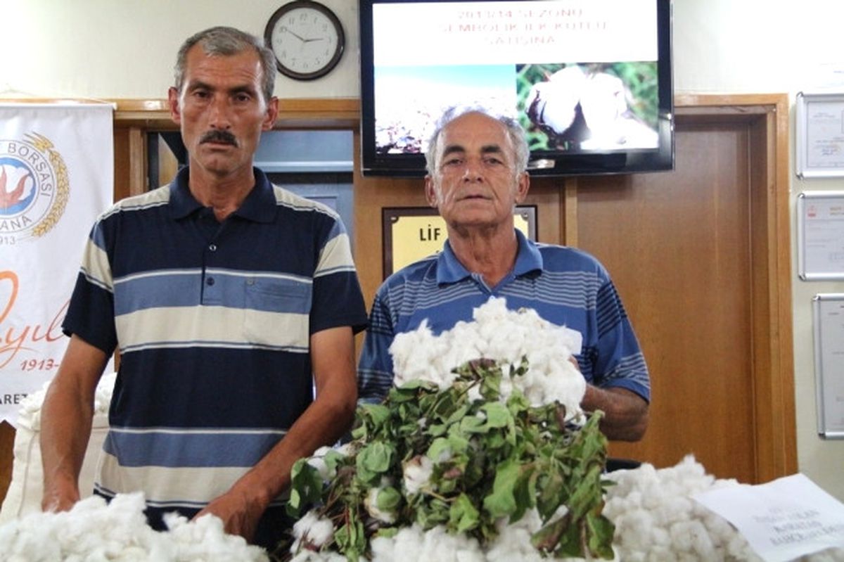 Adana\'da Sezonun İlk Kütlü Pamuğu Satıldı