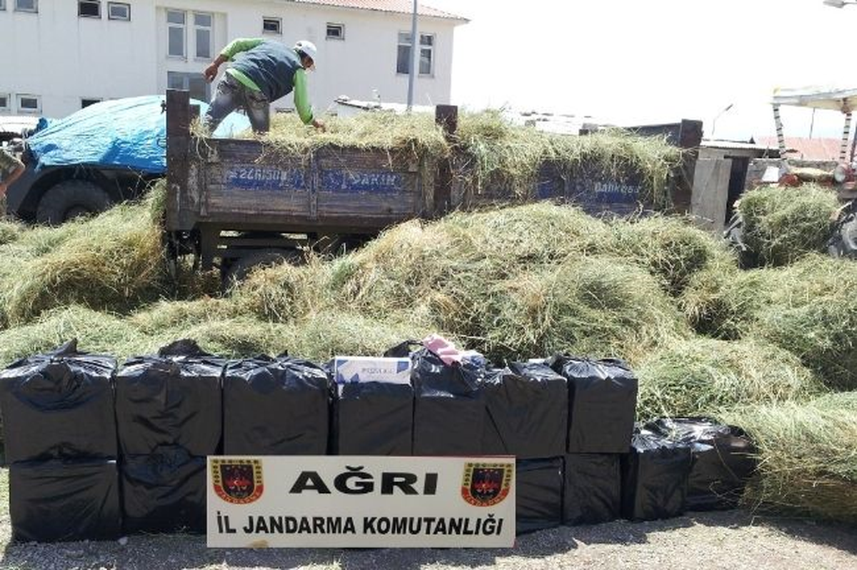 Ağrı\'da 69 Bin 130 Paket Kaçak Sigara Ele Geçirildi