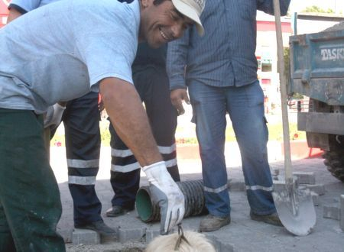 Başı Plastik Bidona Sıkışan Köpek, Polis Ekiplerince Kurtarıldı