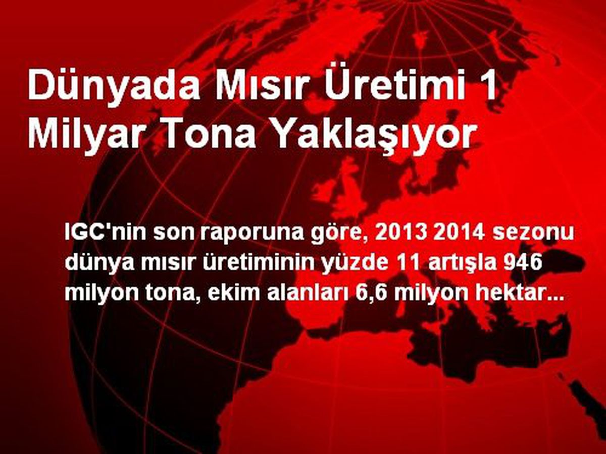 Dünyada Mısır Üretimi 1 Milyar Tona Yaklaşıyor