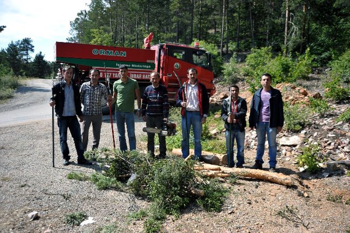 Gümüşhane Kent Ormanında Ökse Otu Mücadelesi Başladı