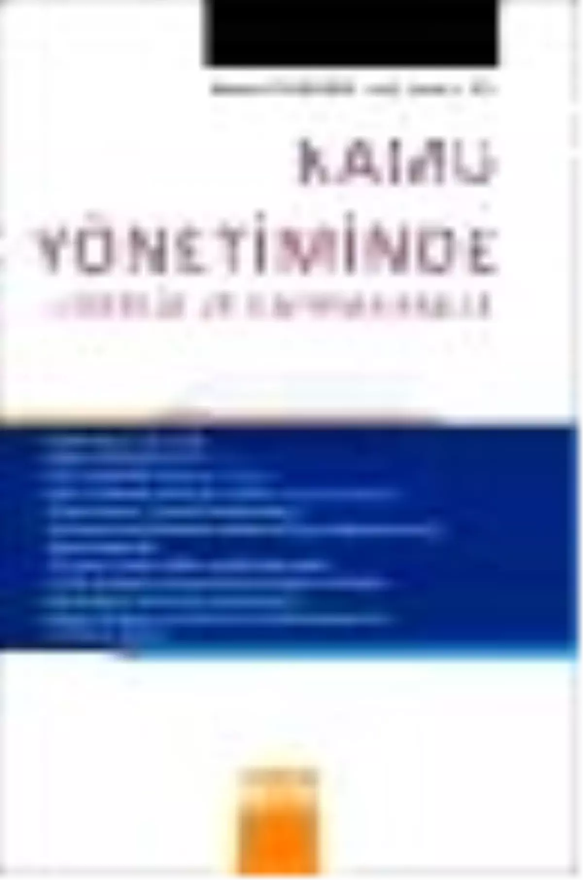 Kamu Yönetiminde Liderlik ve Kaymakamlık Kitabı