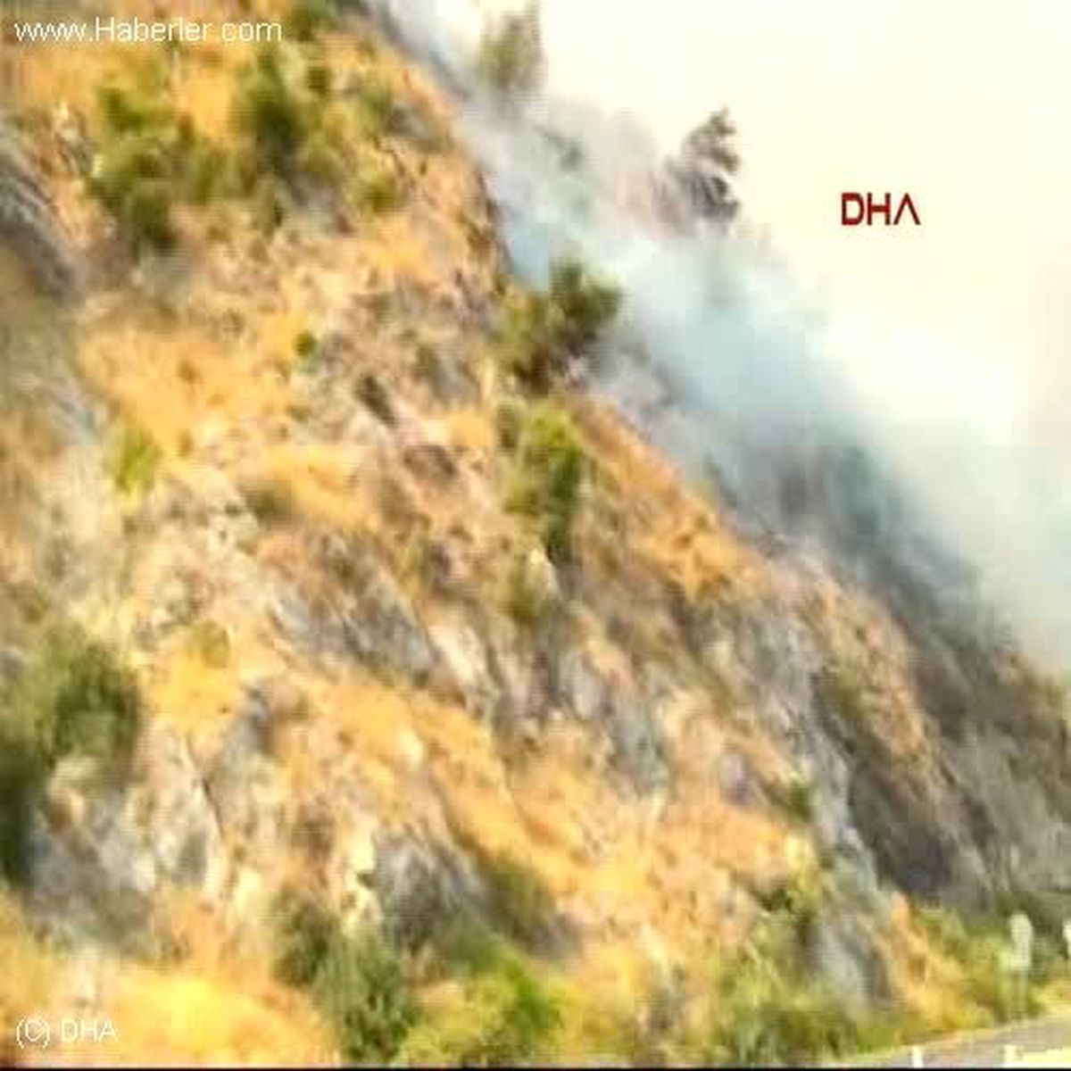Söke\'de Korkutan Yangın