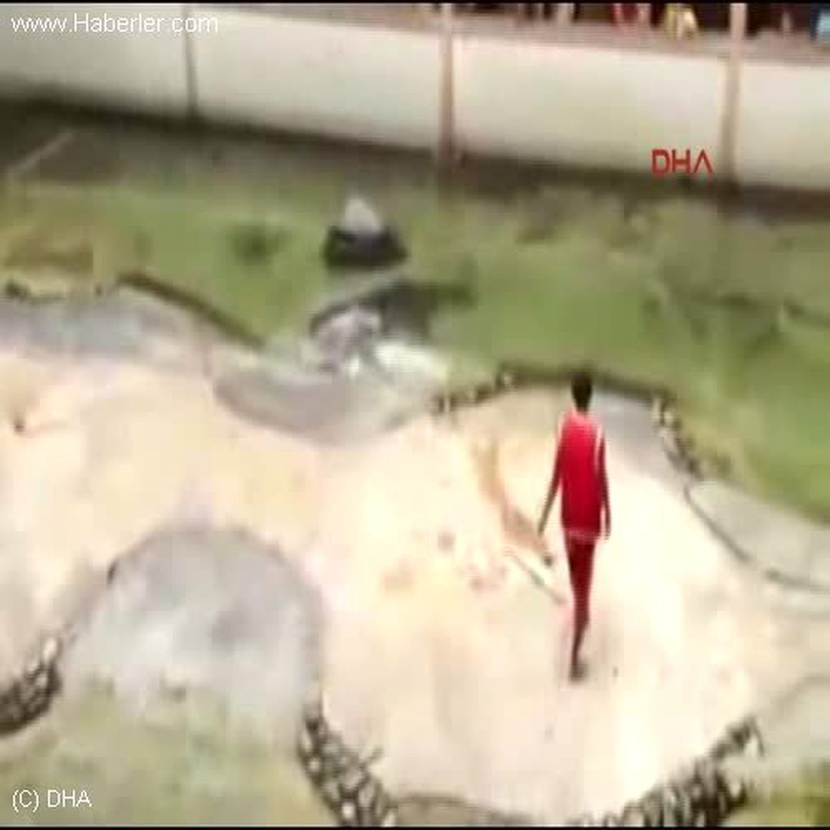 Timsahın Bakıcısının Kafasını Kaptığı An