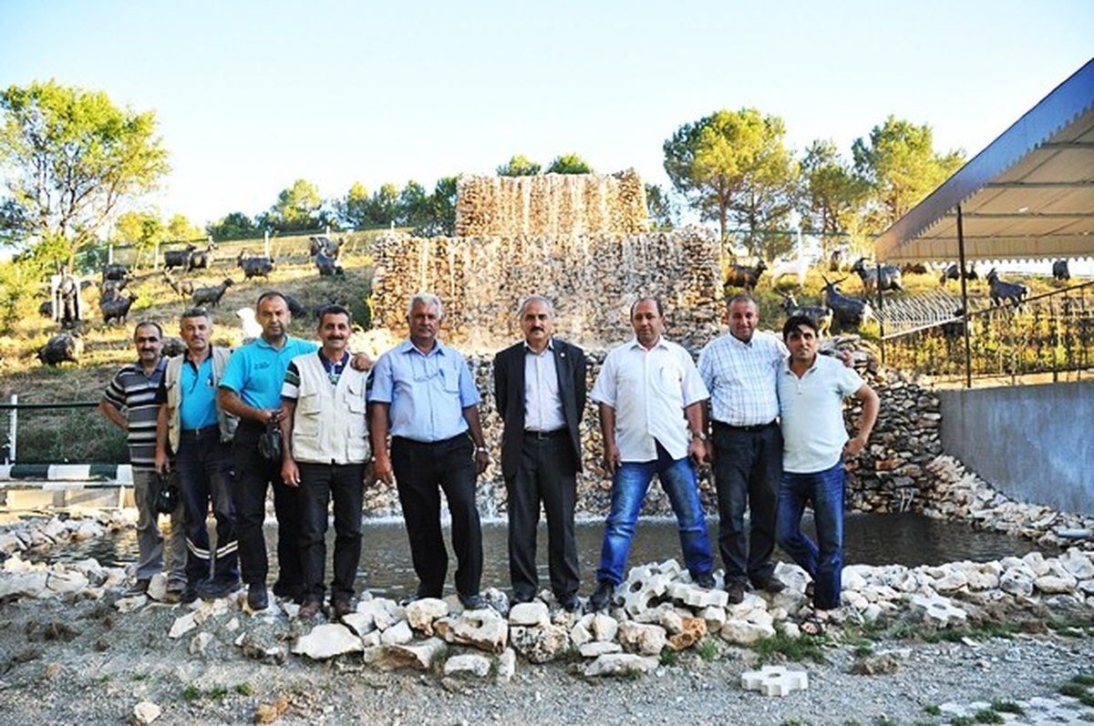 Tosyabelediyesi İlk Yapay Şelaleyi Hizmete Soktu