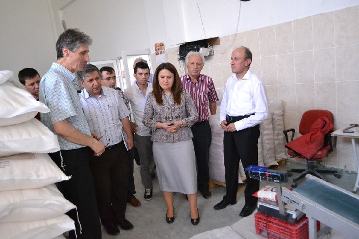 AK Parti\'li Yüksel Niksar\'da