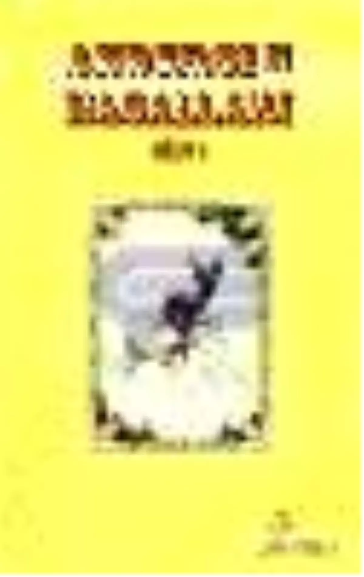 Andersen Masalları Cilt: 1 Kitabı