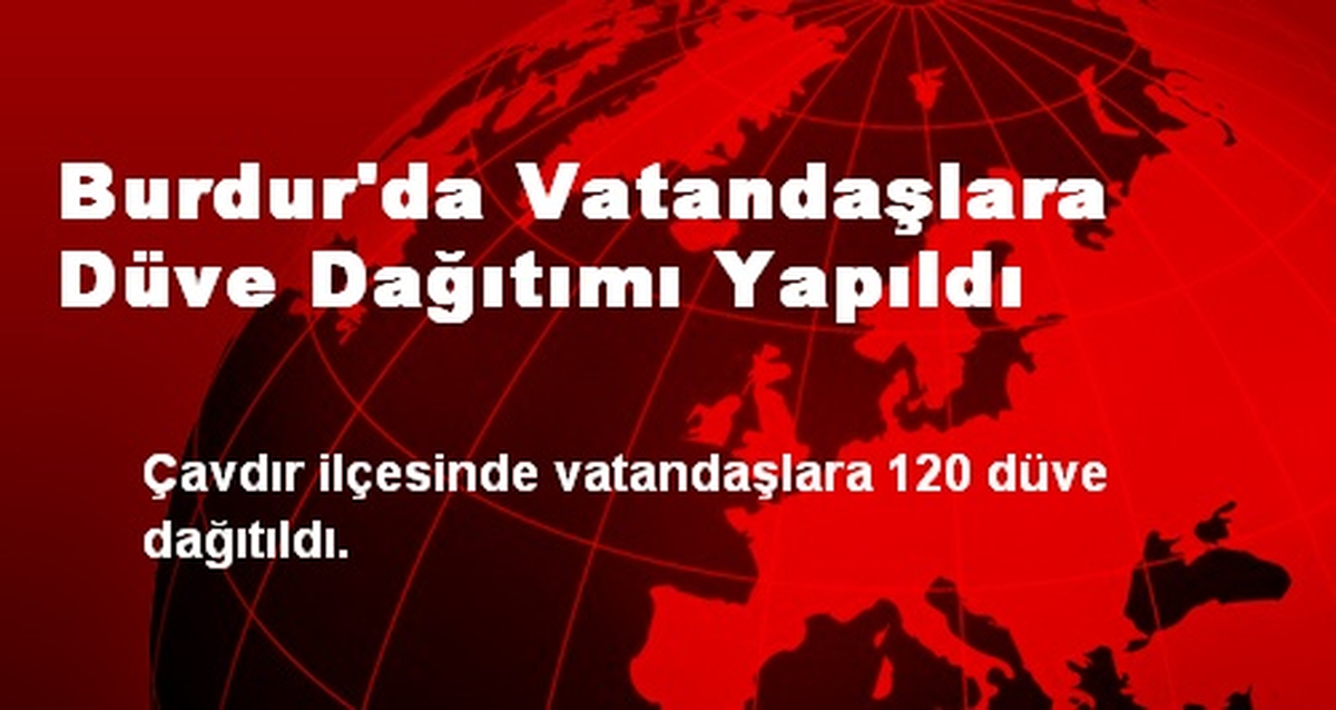 Burdur\'da Vatandaşlara Düve Dağıtımı Yapıldı