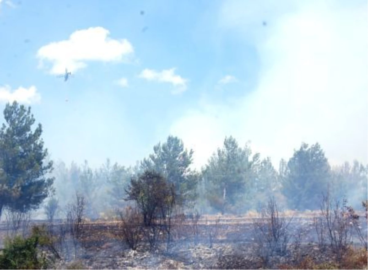 Bursa\'daki Orman Yangını
