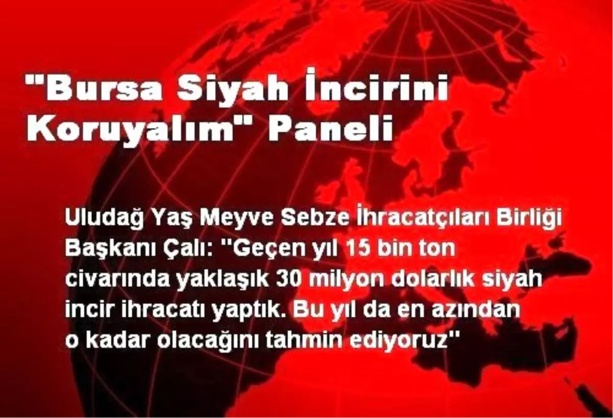 "Bursa Siyah İncirini Koruyalım" Paneli