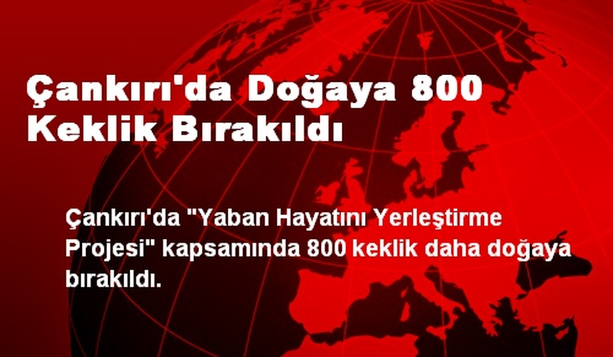 Çankırı\'da Doğaya 800 Keklik Bırakıldı