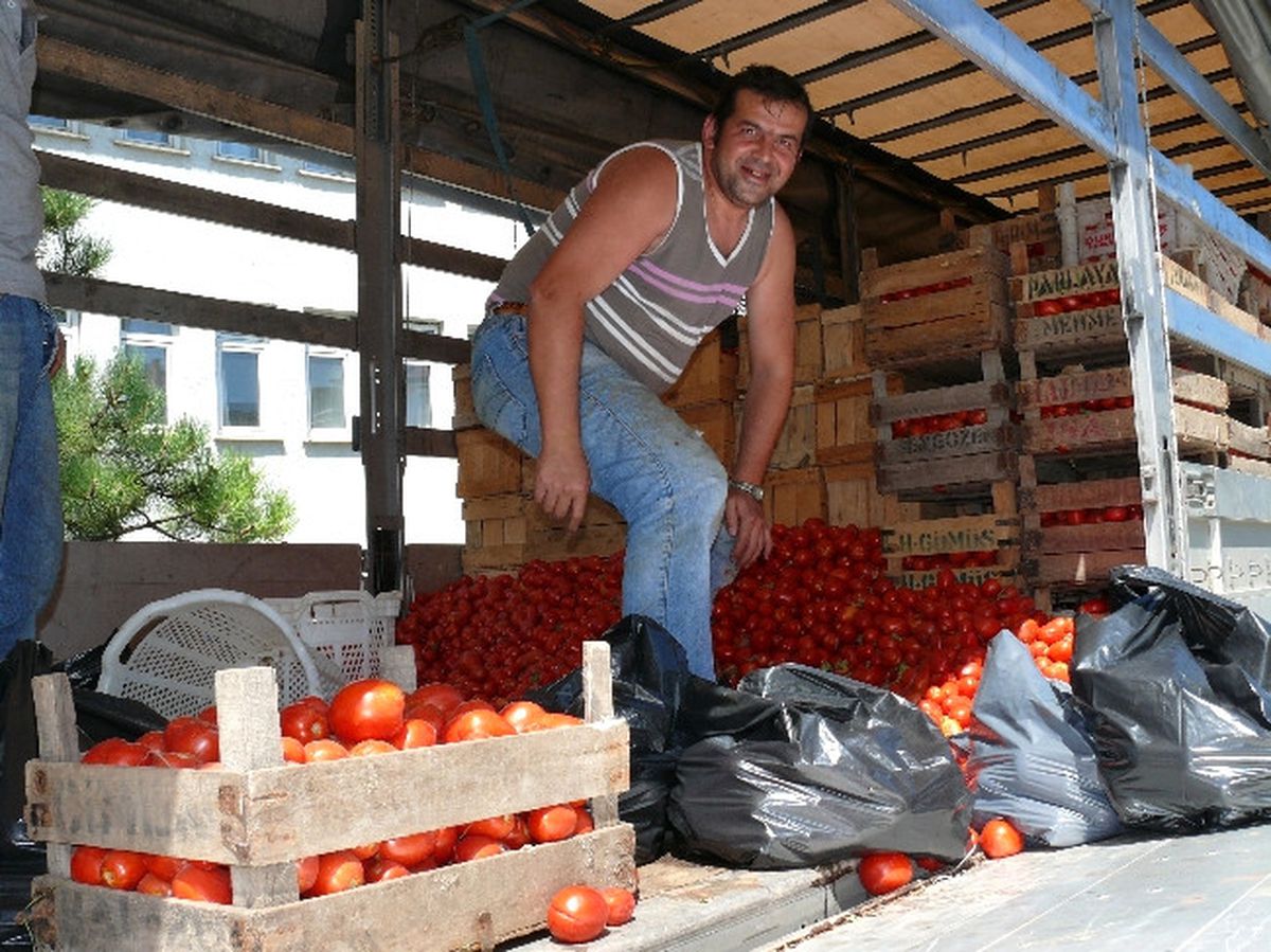 Domates 50 Kuruşa Satıldı