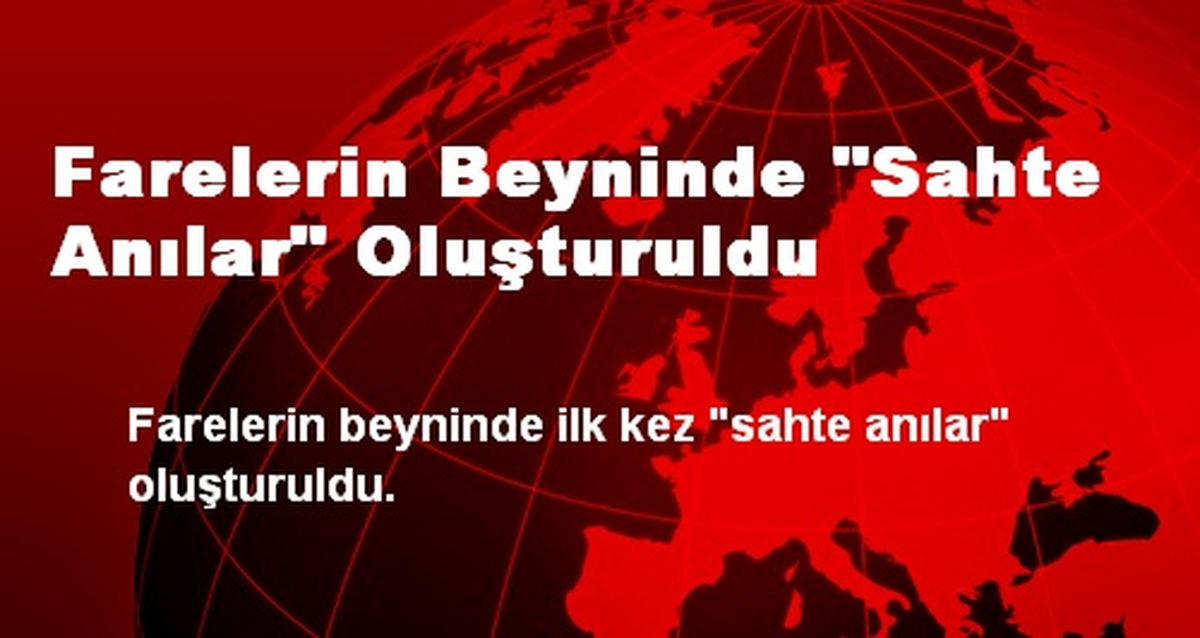 Farelerin Beyninde "Sahte Anılar" Oluşturuldu