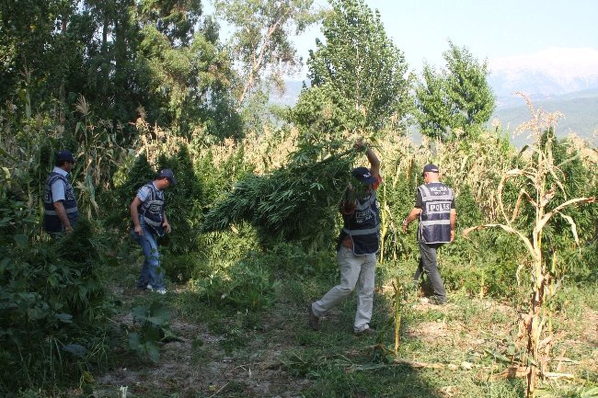 Fethiye\'de Uyuşturucu Operasyonu: 9 Gözaltı