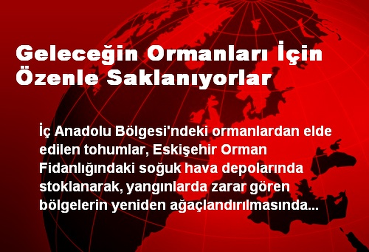 Geleceğin Ormanları İçin Özenle Saklanıyorlar