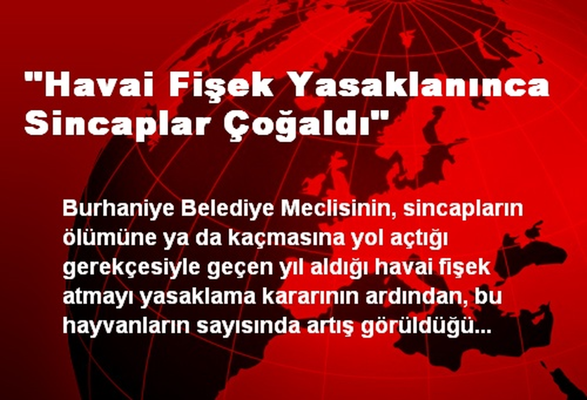"Havai Fişek Yasaklanınca Sincaplar Çoğaldı"