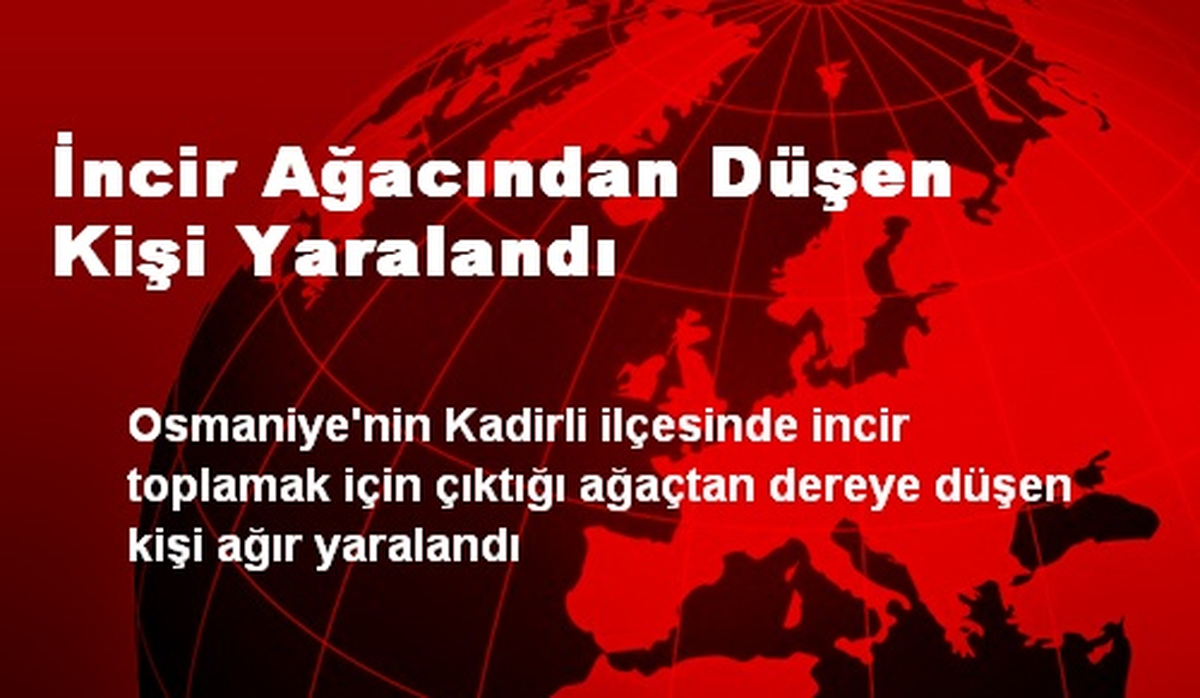 İncir Ağacından Düşen Kişi Yaralandı