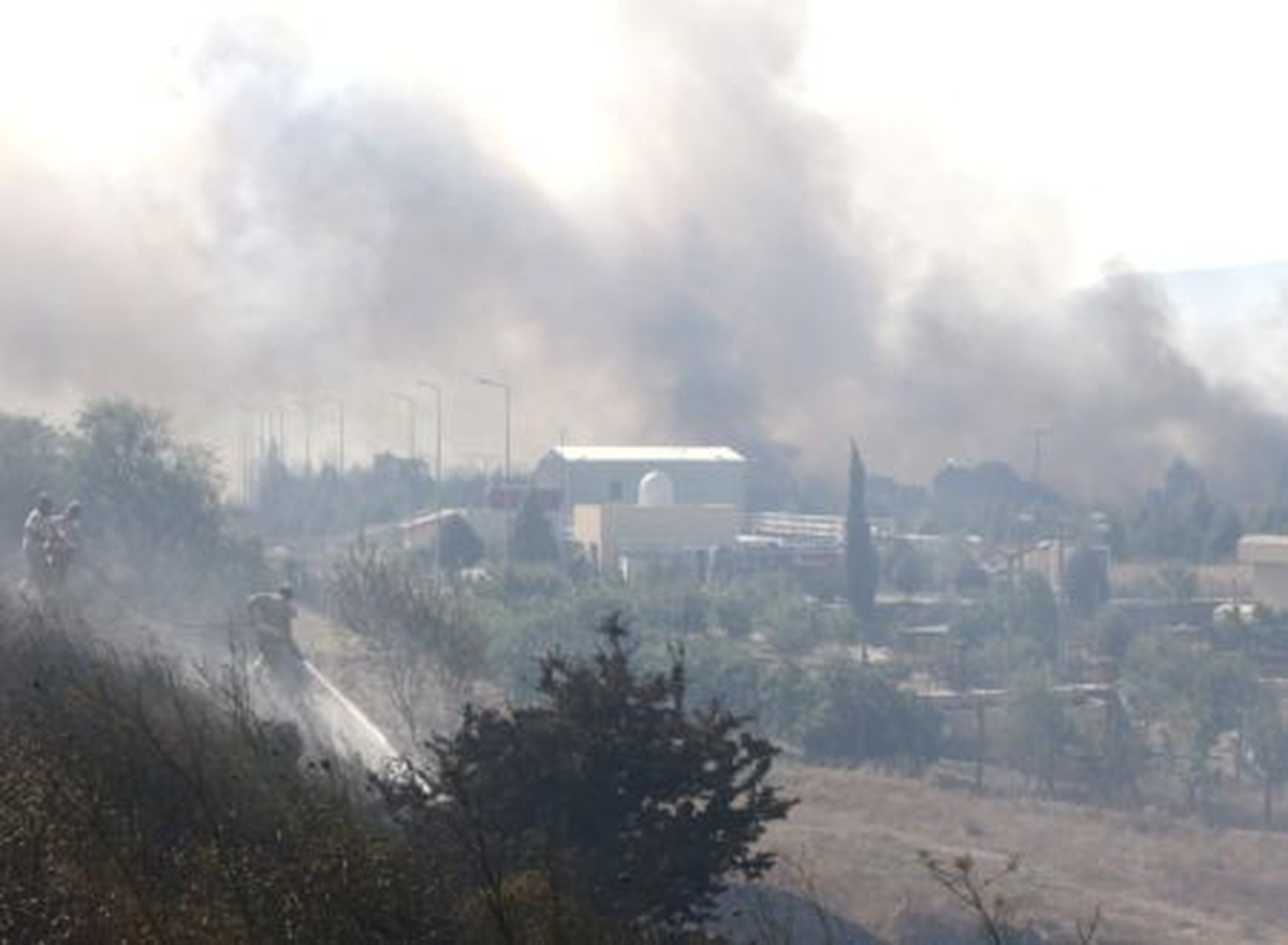 İzmir\'de Orman Yangını