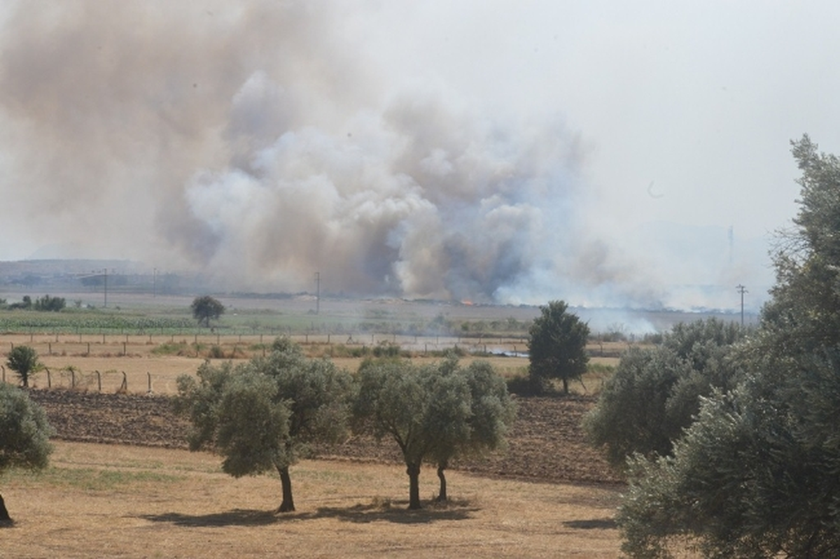 İzmir\'deki Büyük Orman Yangını