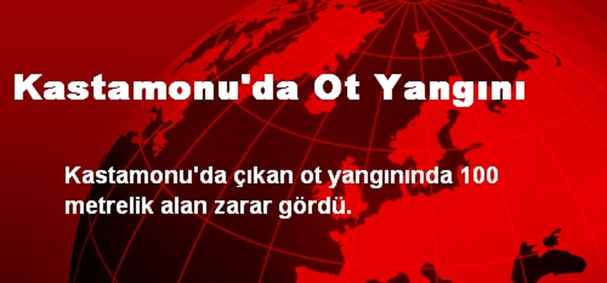 Kastamonu\'da Ot Yangını