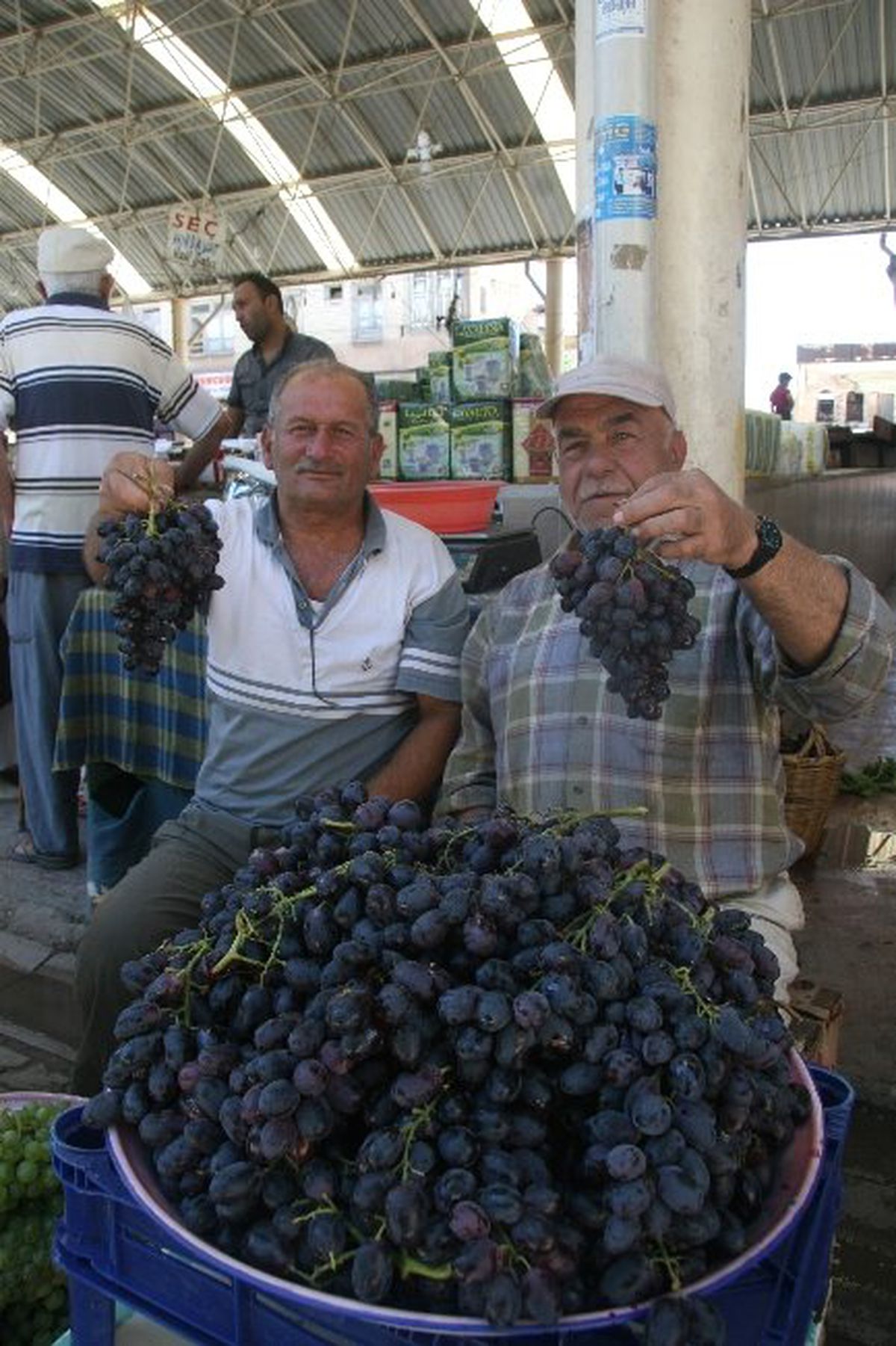 Kilis\'te Horozkarası Üzümü Çıktı