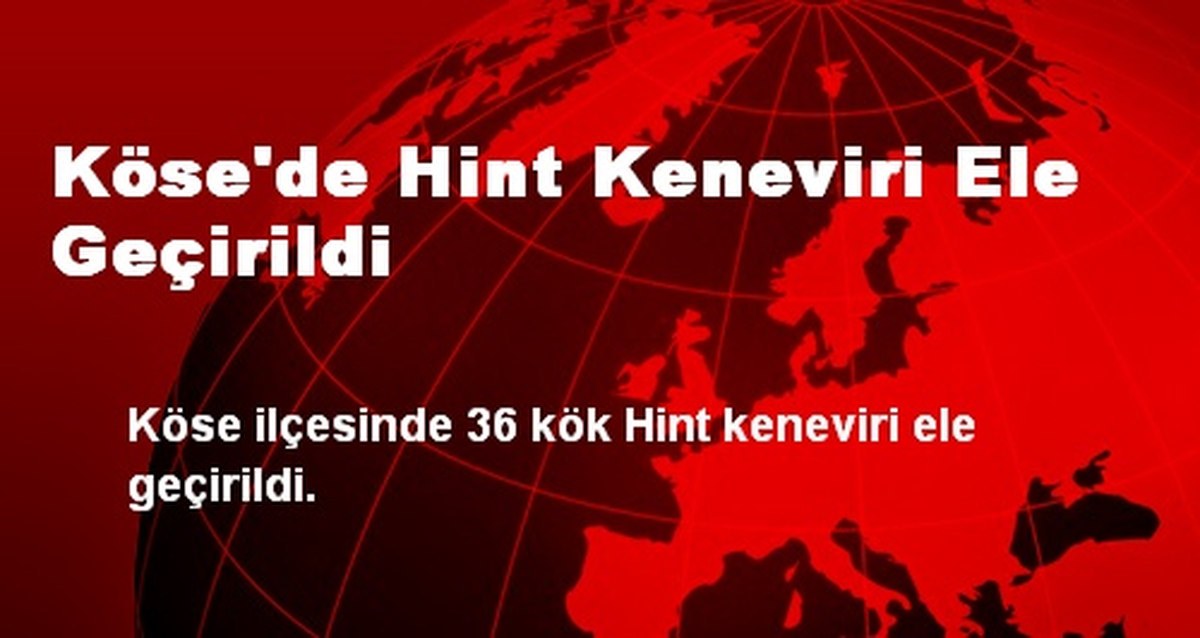 Dünya Hepatit Günü