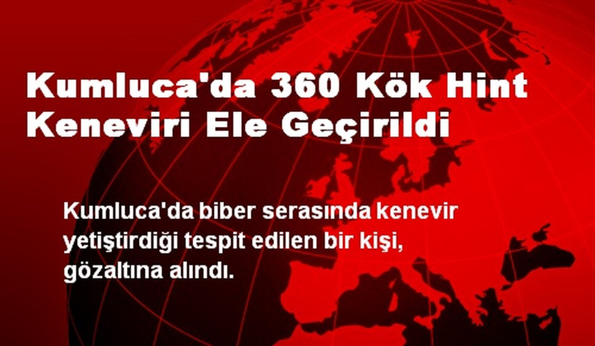 Kumluca\'da 360 Kök Hint Keneviri Ele Geçirildi