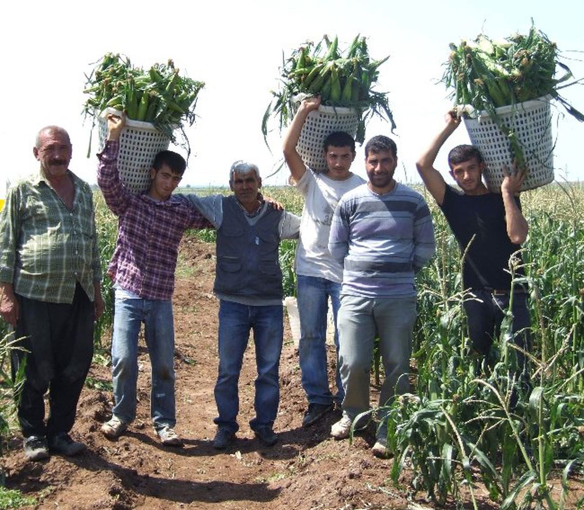 May Tohum Çiftçinin Yüzünü Güldürdü