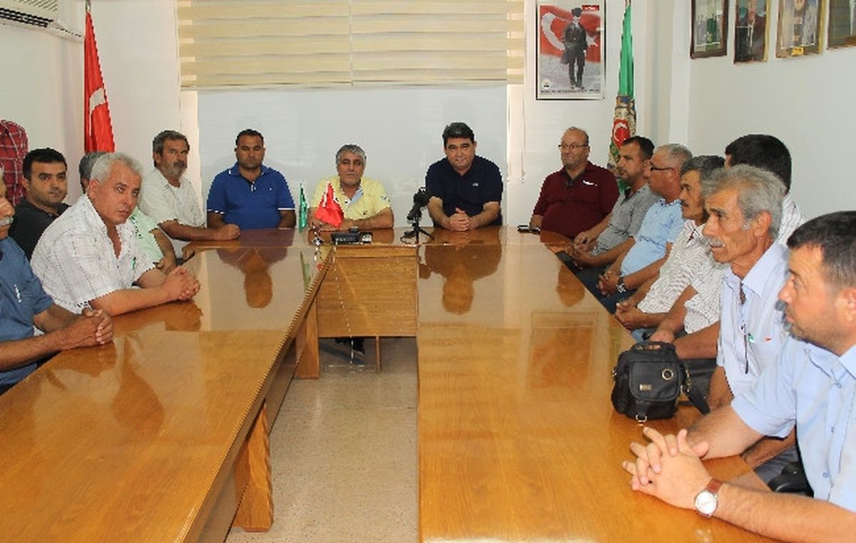 Mersin\'de 400 Bin Ton Üzüm, 250 Bin Ton Şeftali Üretildi