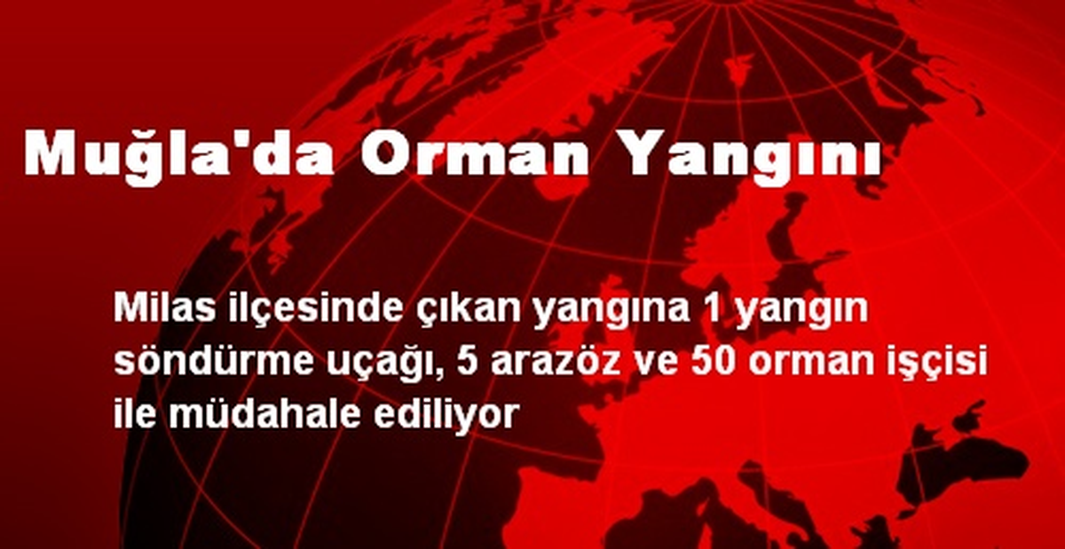 Muğla\'da Orman Yangını