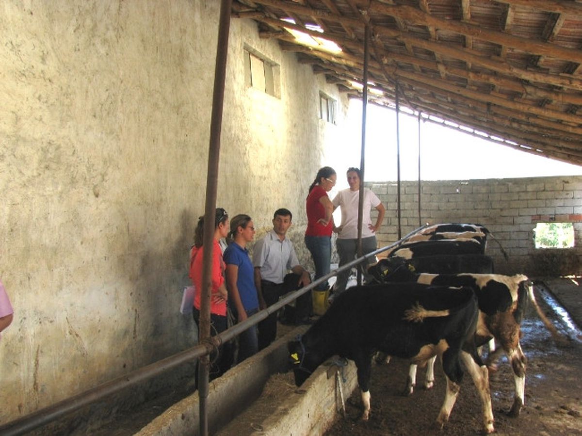 Orman İşletme Müdürlüğünden Besi Sığırcılığına Destek