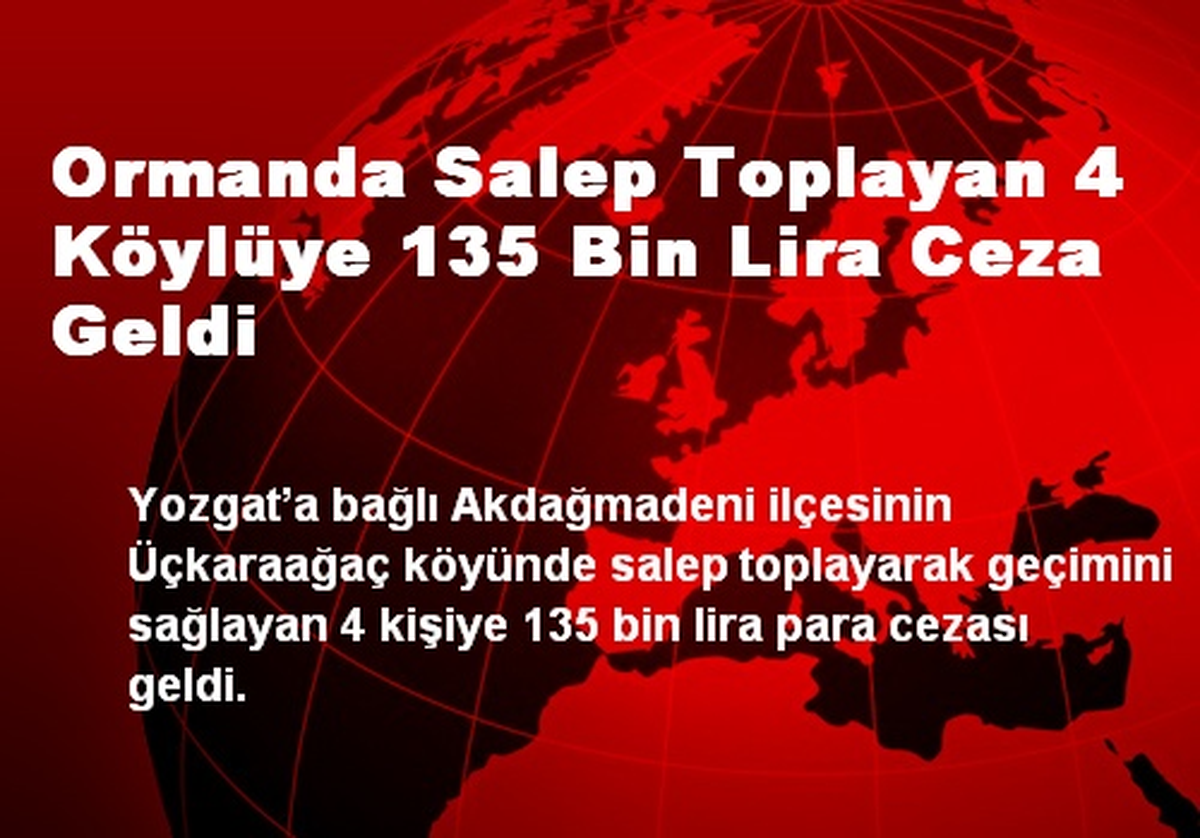 Ormanda Salep Toplayan 4 Köylüye 135 Bin Lira Ceza Geldi