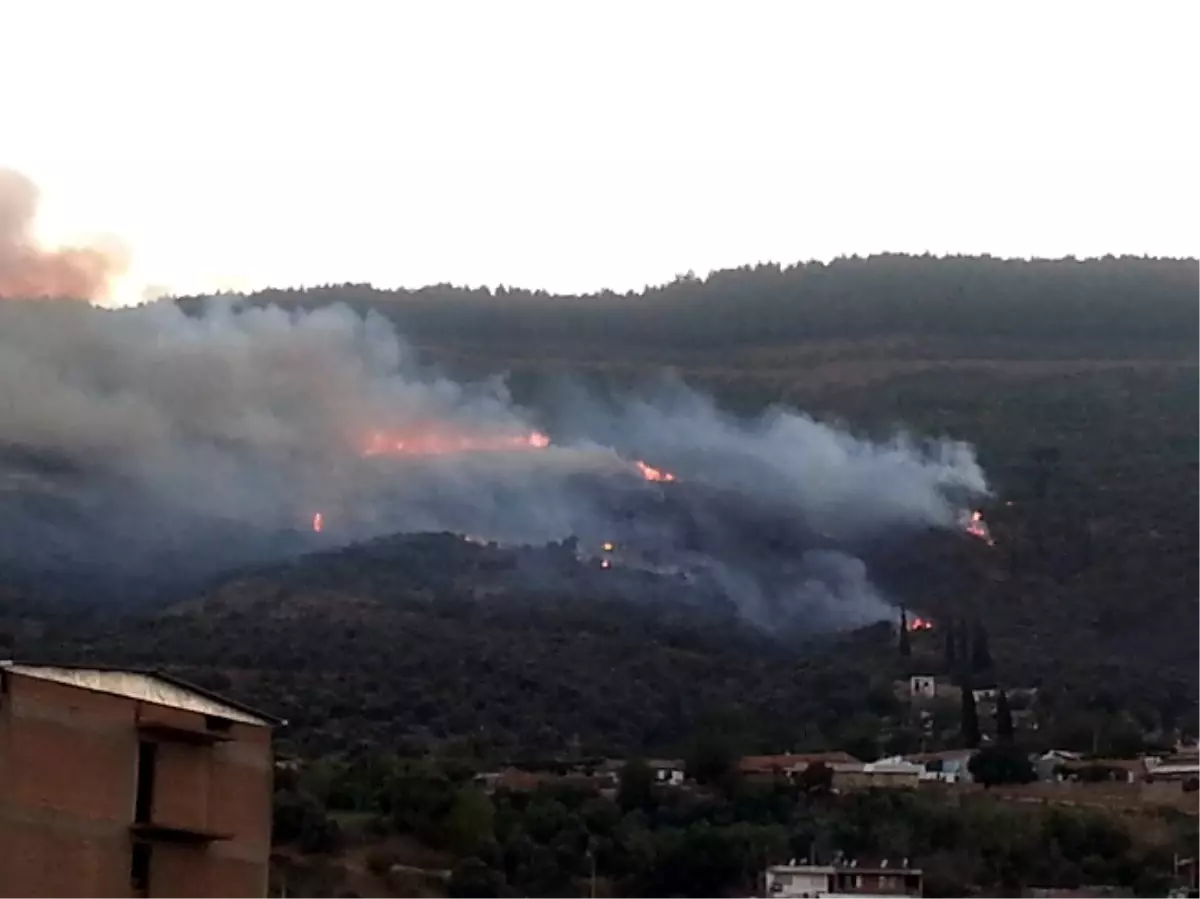 Söke'de Sazlı'nın Ardından Özbey Mahallesinde de Yangın Çıktı