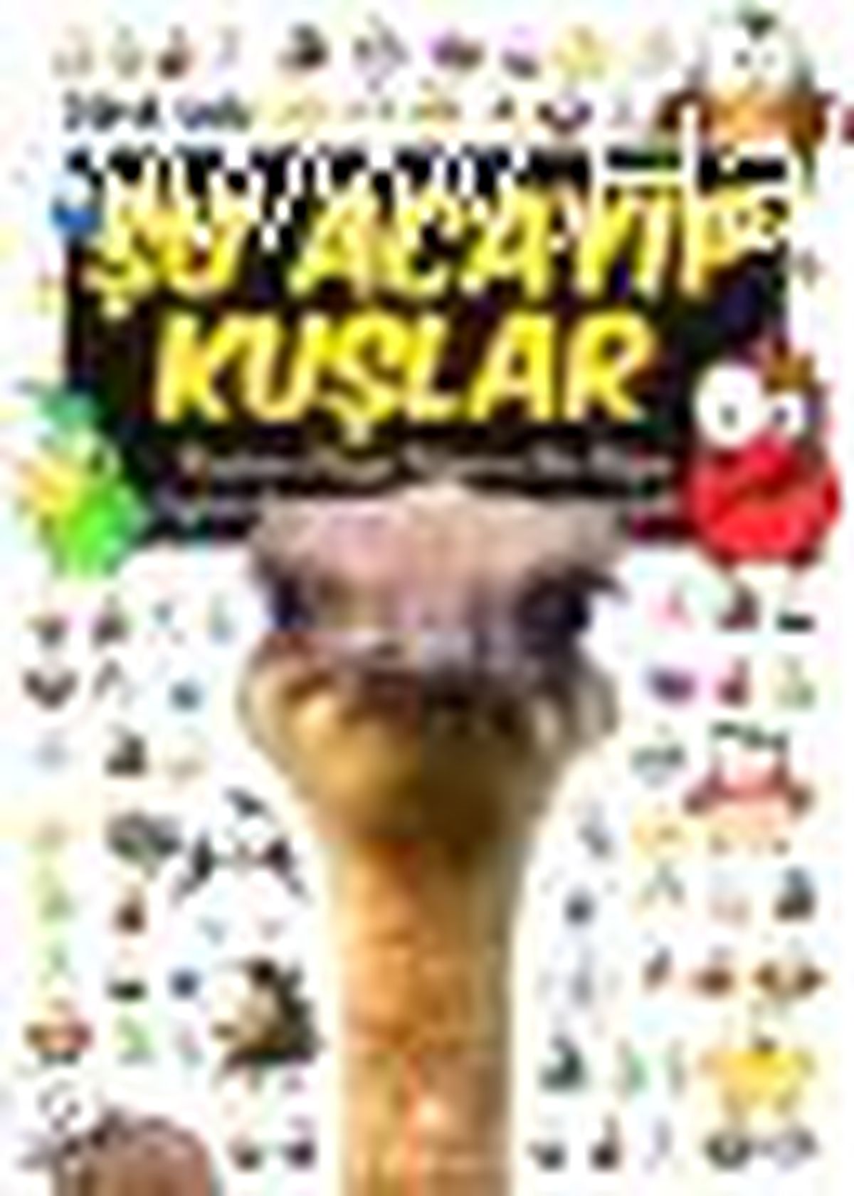 Şu Acayip Kuşlar Kitabı