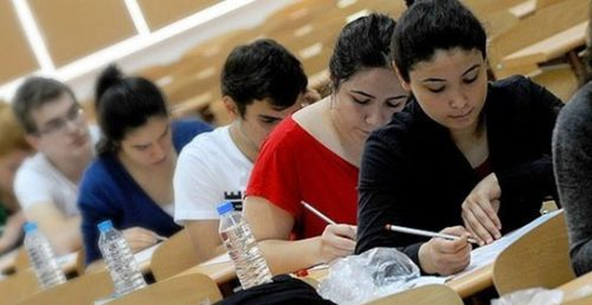 Üniversite Yerleştirme Sonuçları