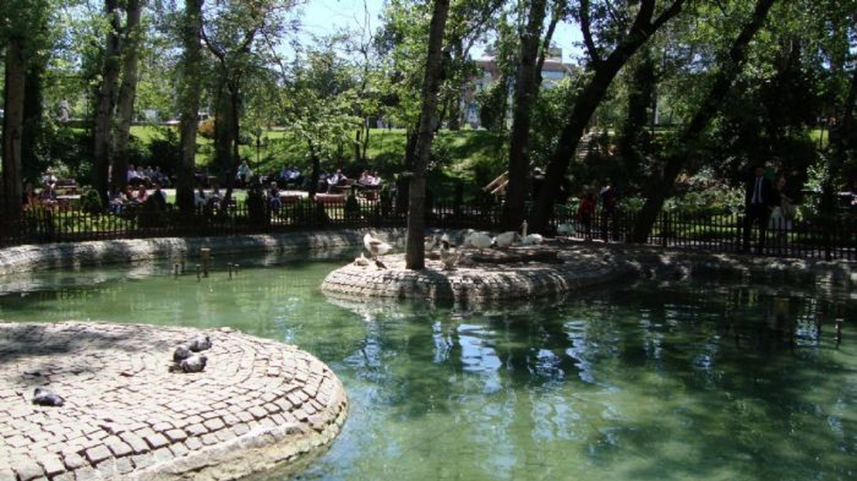 Viyanalı Kuğular
