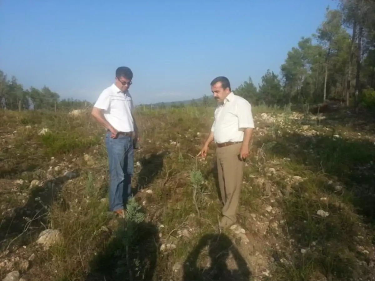 Yardop ile Yangınlara Set Çekiliyor