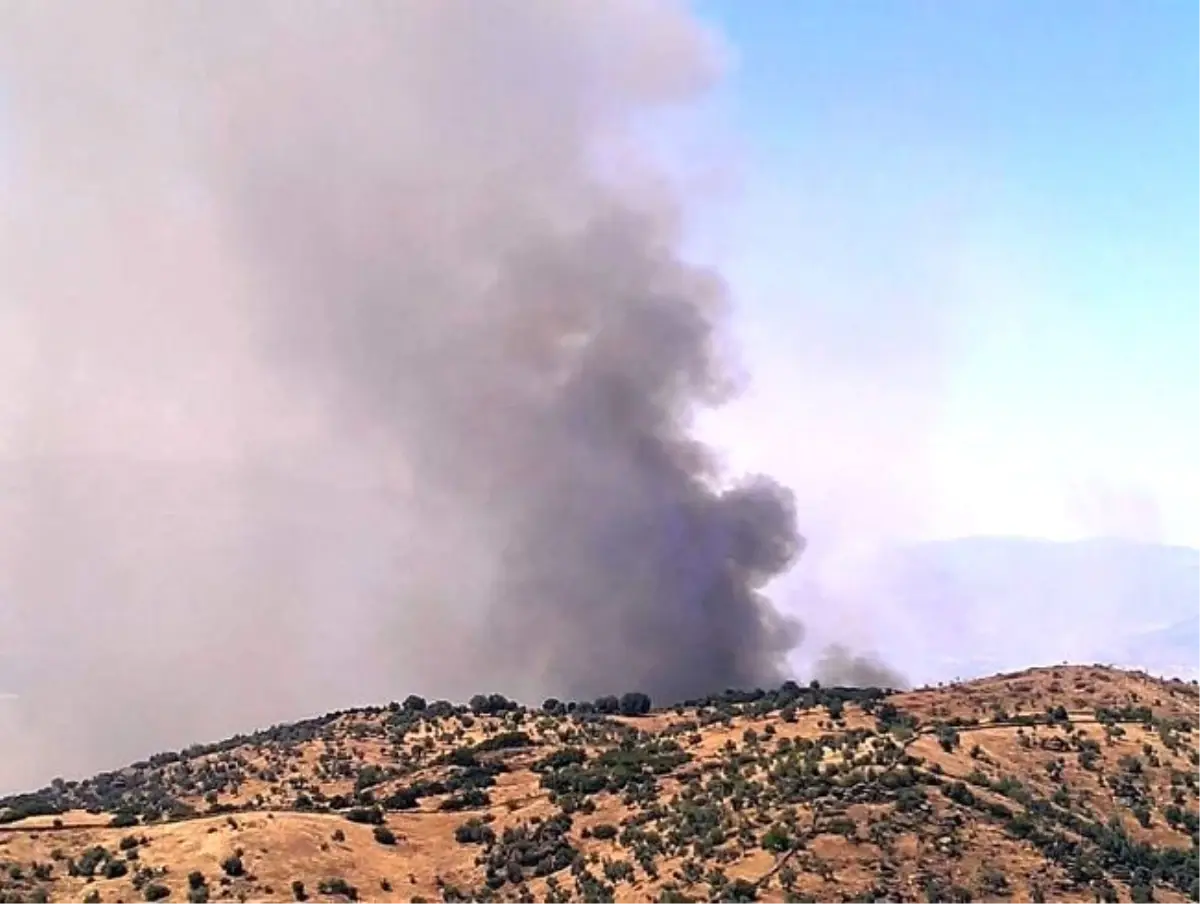 Yenipazar\'daki Yangın Kontrol Altına Alındı