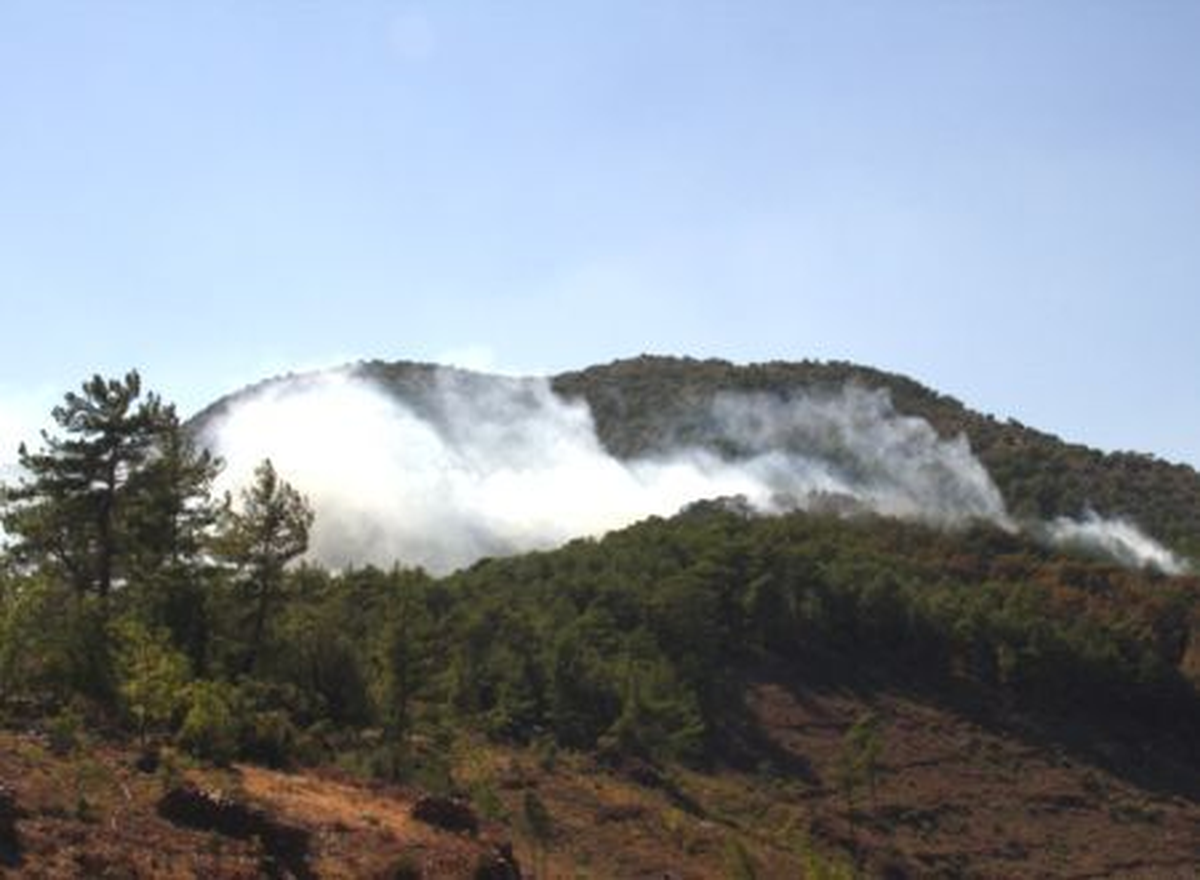 Aydın\'da Makilik Alanda Yangın Çıktı