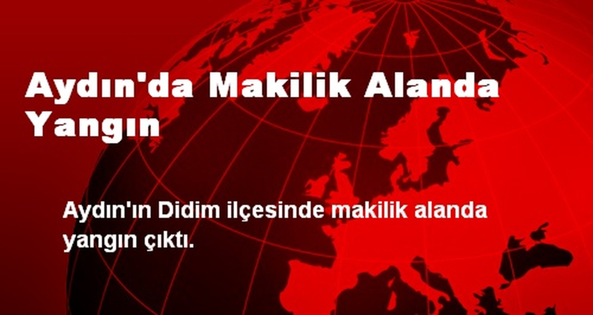 Çorlu\'da Uyuşturucu Madde ve Kaçak Sigara Ele Geçirildi