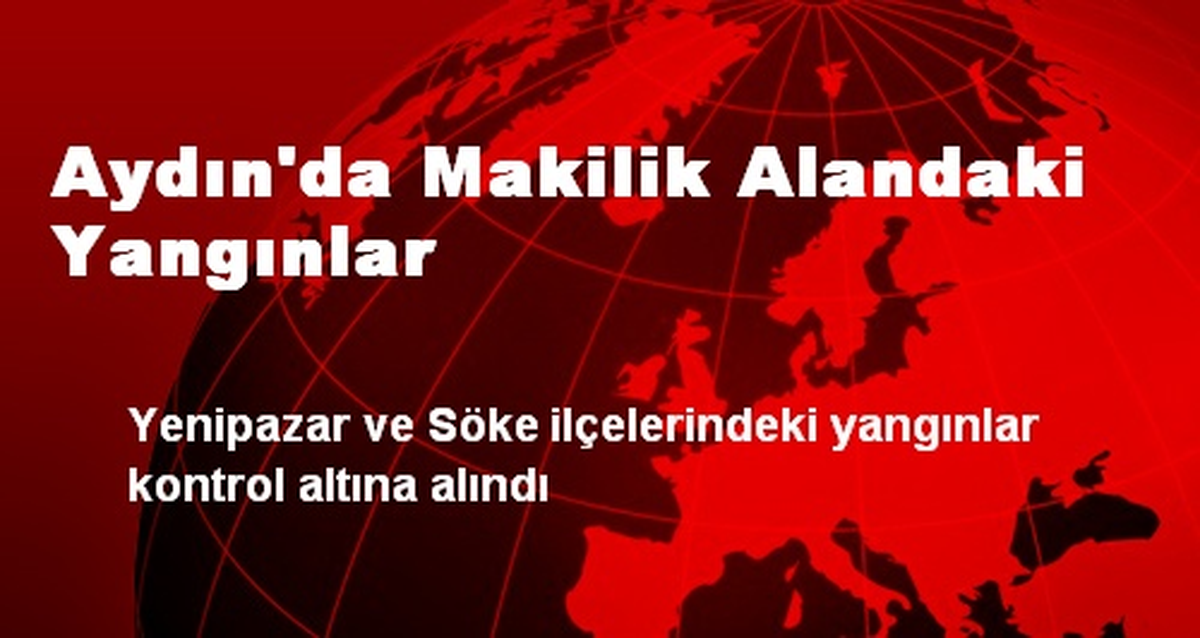 Aydın\'da Makilik Alandaki Yangınlar