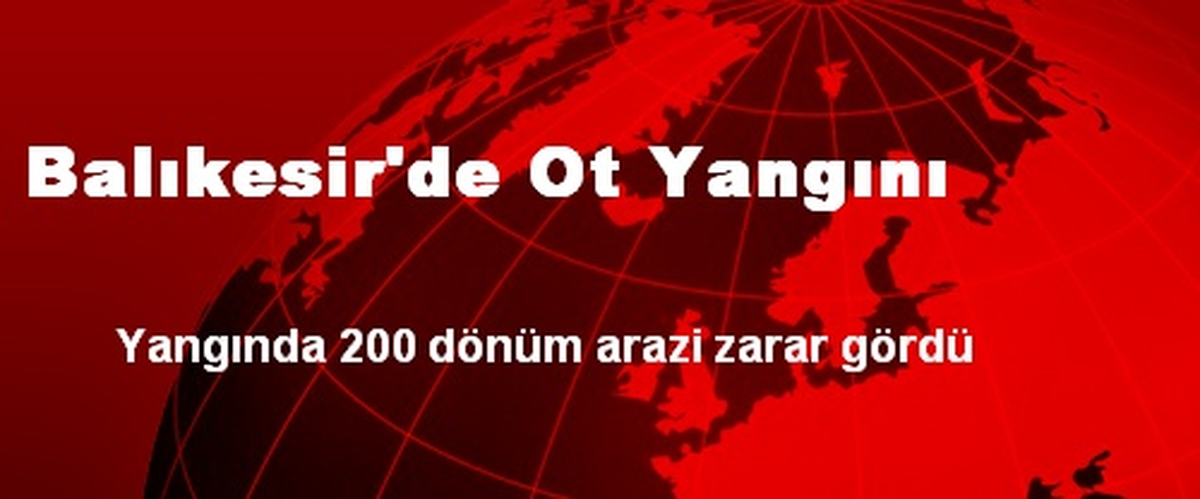 Balıkesir\'de Ot Yangını
