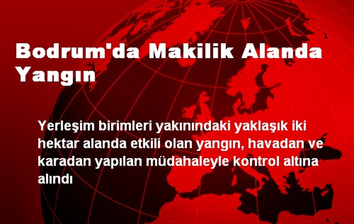 Bodrum\'da Makilik Alanda Yangın